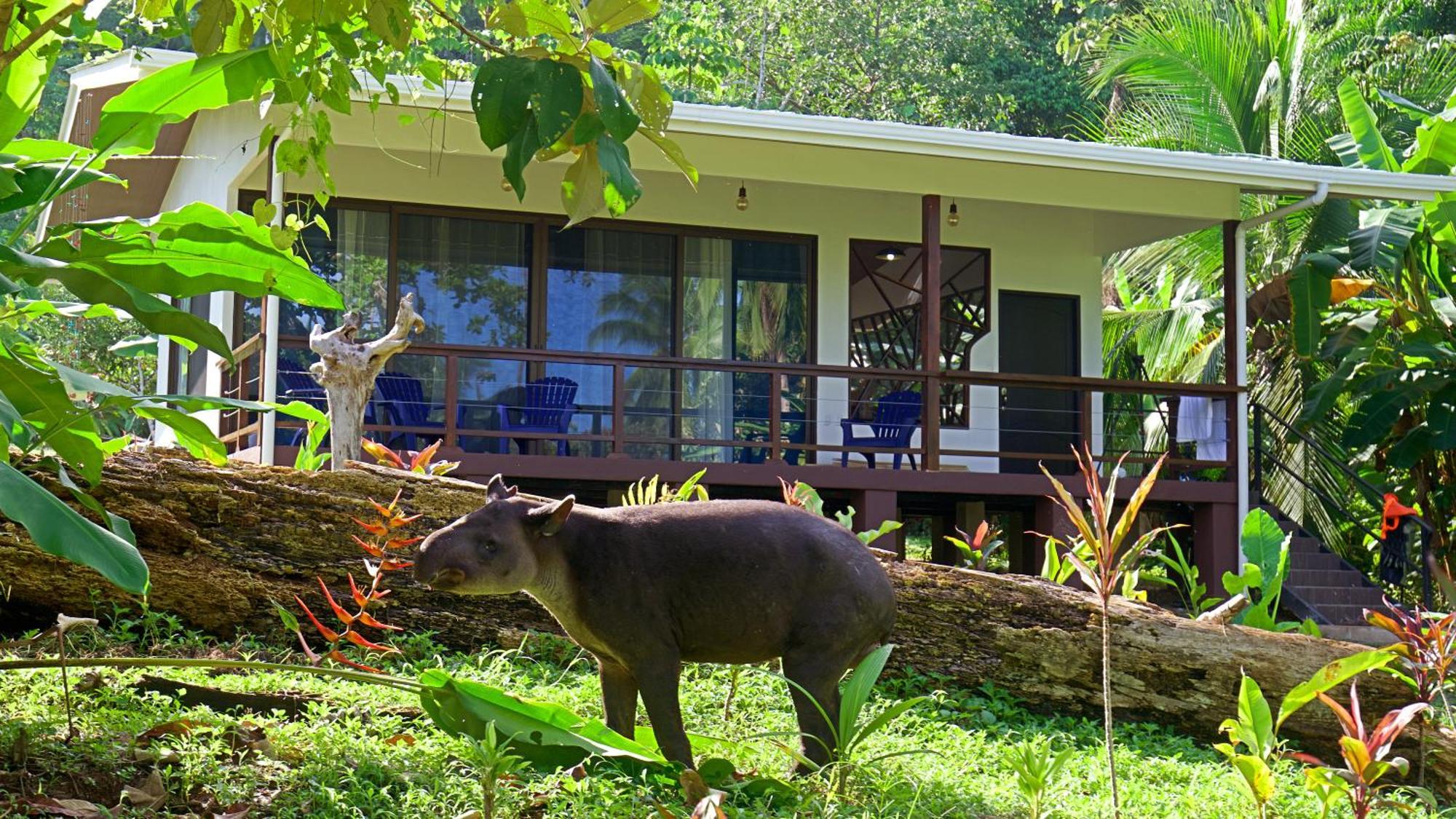 Eden Corcovado Villa San Pedrillo Екстериор снимка