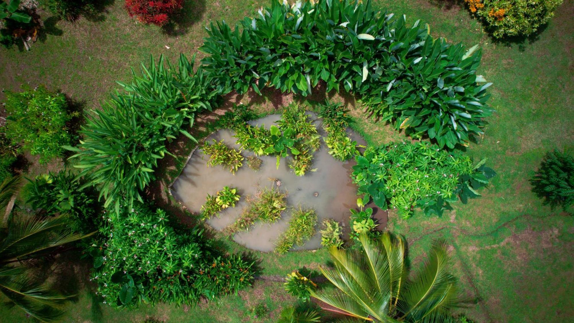 Eden Corcovado Villa San Pedrillo Екстериор снимка