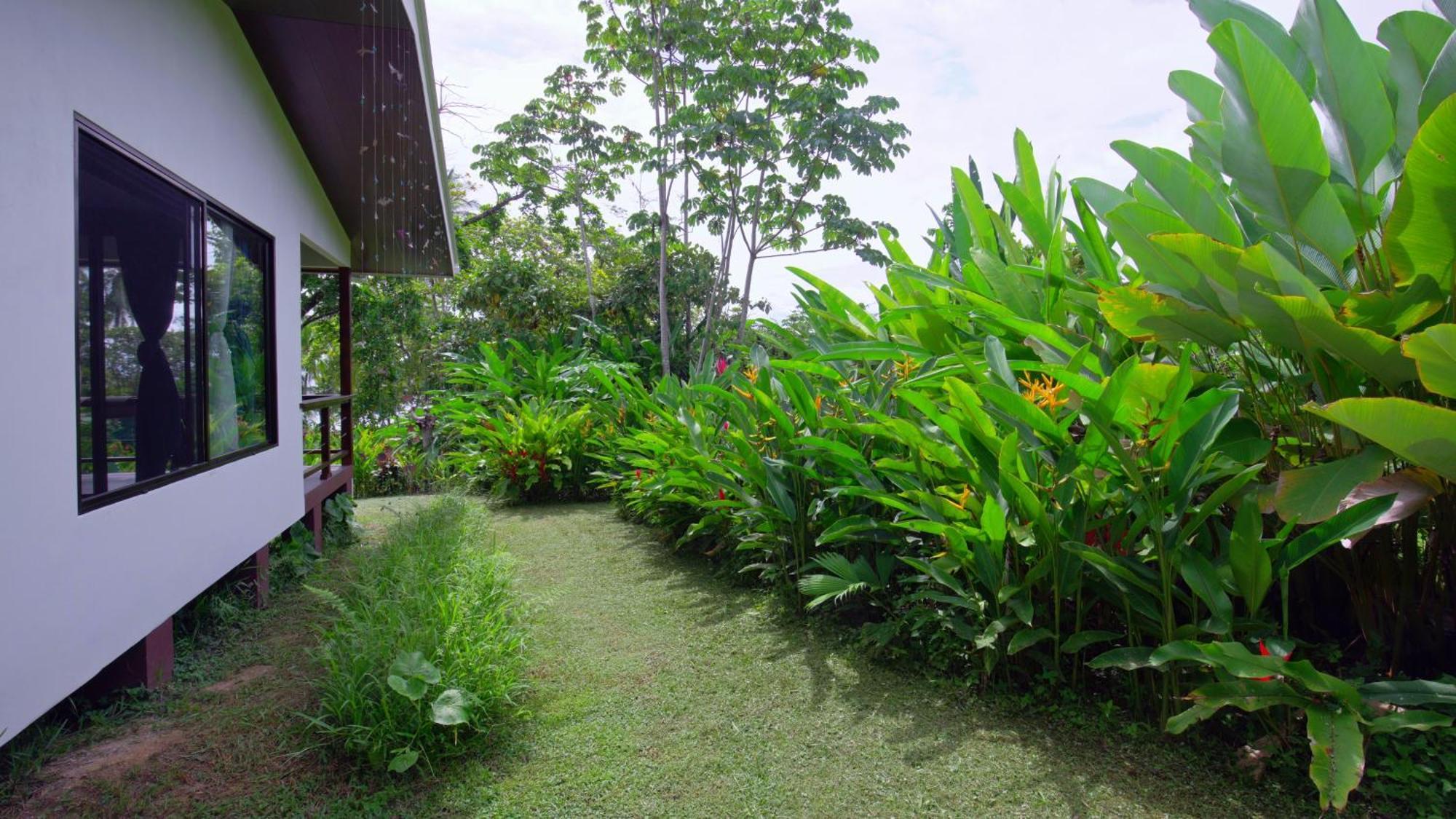 Eden Corcovado Villa San Pedrillo Екстериор снимка